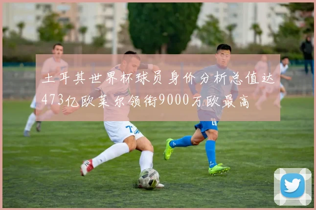 土耳其世界杯球员身价分析总值达473亿欧莱尔领衔9000万欧最高